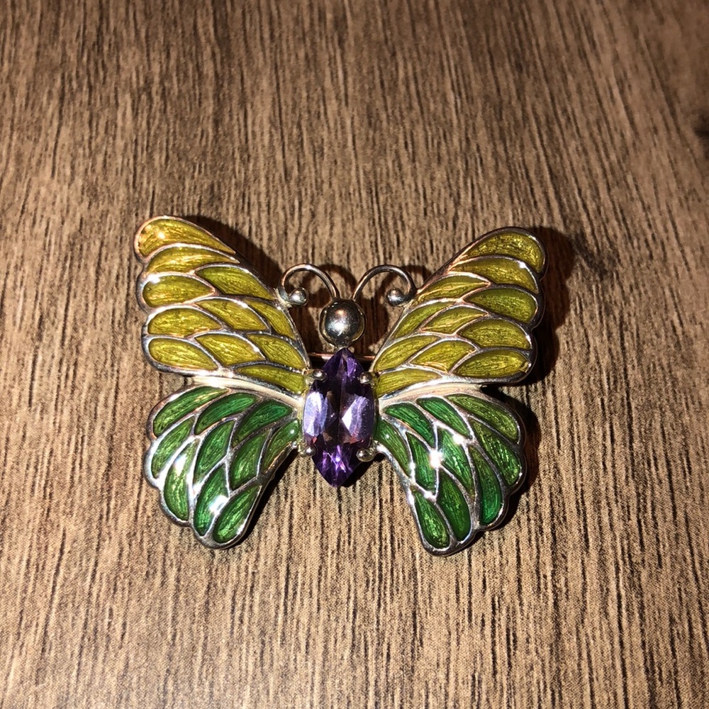 Butterfly 🦋 Pin -  NWOT